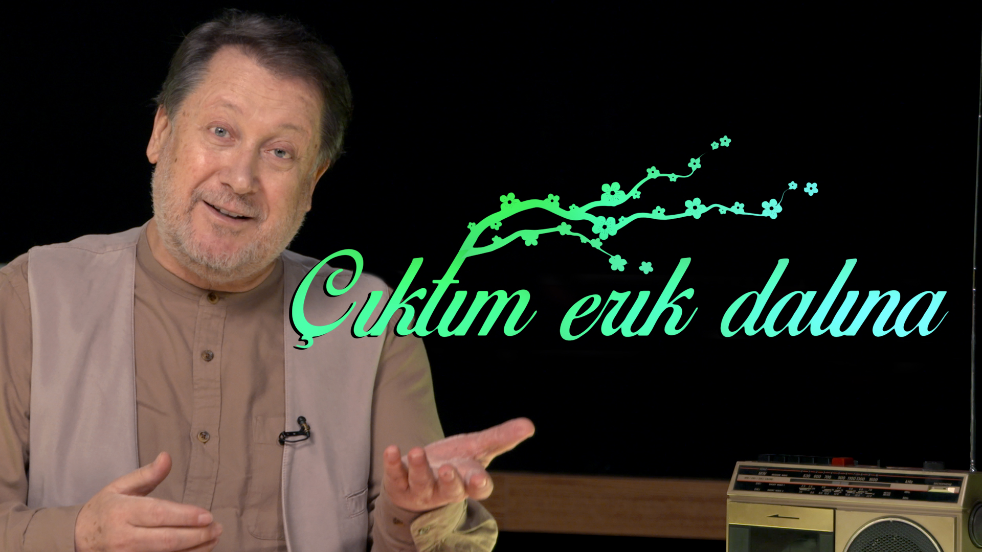 Çıktım Erik Dalına | Ahmet Özhan